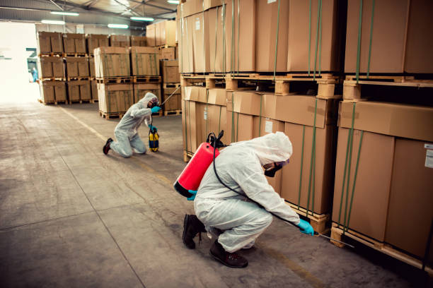 Best Pest Control for Homes  in Buchanan Dam, TX