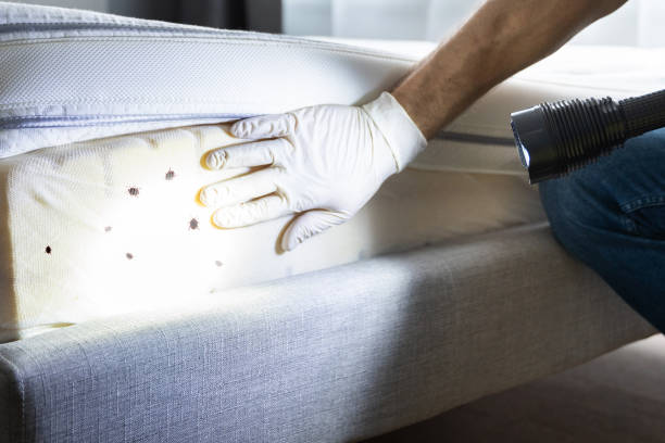 Pest Control Cost in Buchanan Dam, TX