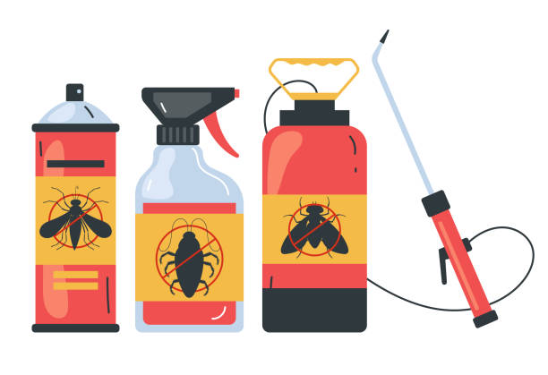 Wasp Removal Services in Buchanan Dam, TX